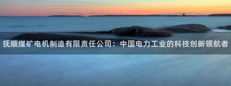 彩神8官网500:抚顺煤矿电机制造有限责任公司:中国电力工业 彩神8官网500:抚顺煤矿电机制造有限责任公司:中国电力工业