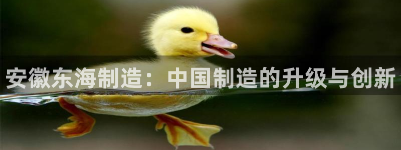 彩神赢了钱登录不上去:安徽东海制造:中国制造的升级与创新 彩神赢了钱登录不上去:安徽东海制造:中国制造的升级与创新